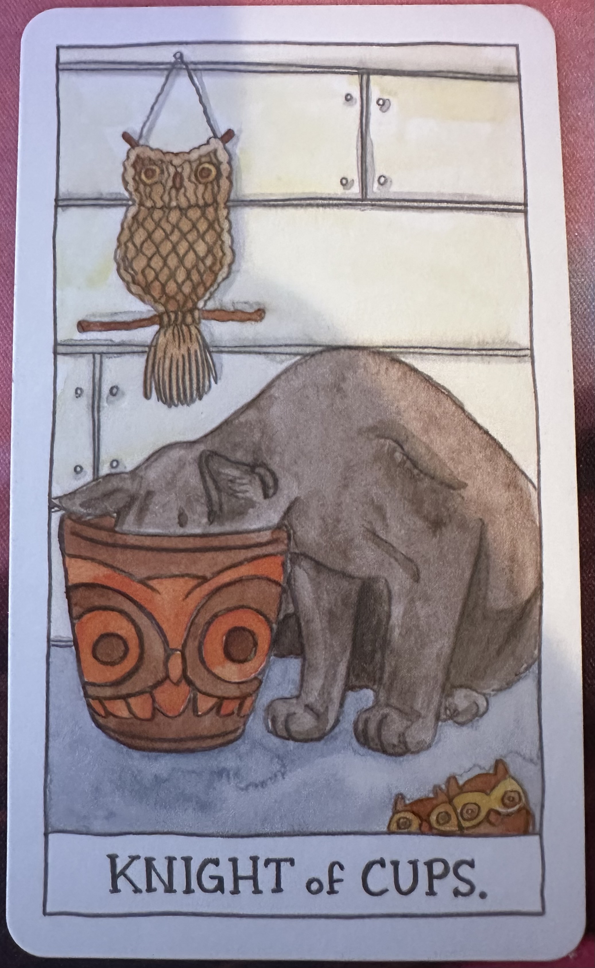 <p>Knight of Cups Upright</p>