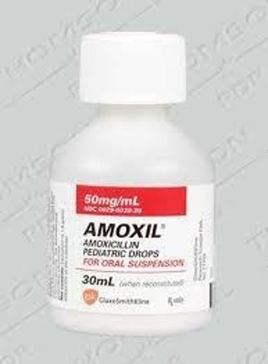 <p>Amoxicillin</p><p>Penicillin Antibacterial</p><p>Bacterial Infection</p>