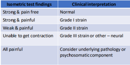 <p><em>assess contractile structures</em></p><ul><li><p>indicates muscle weakness + pain</p></li><li><p>document muscle weakness + pain response</p></li><li><p>isometric testing does NOT allow for grading of muscle strength</p></li></ul><p></p>