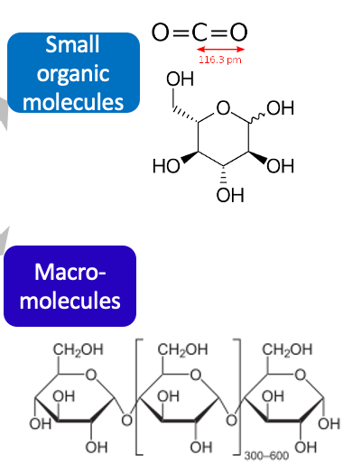 <p>organic molecules</p>