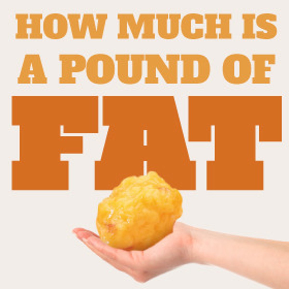 <p>fat</p>