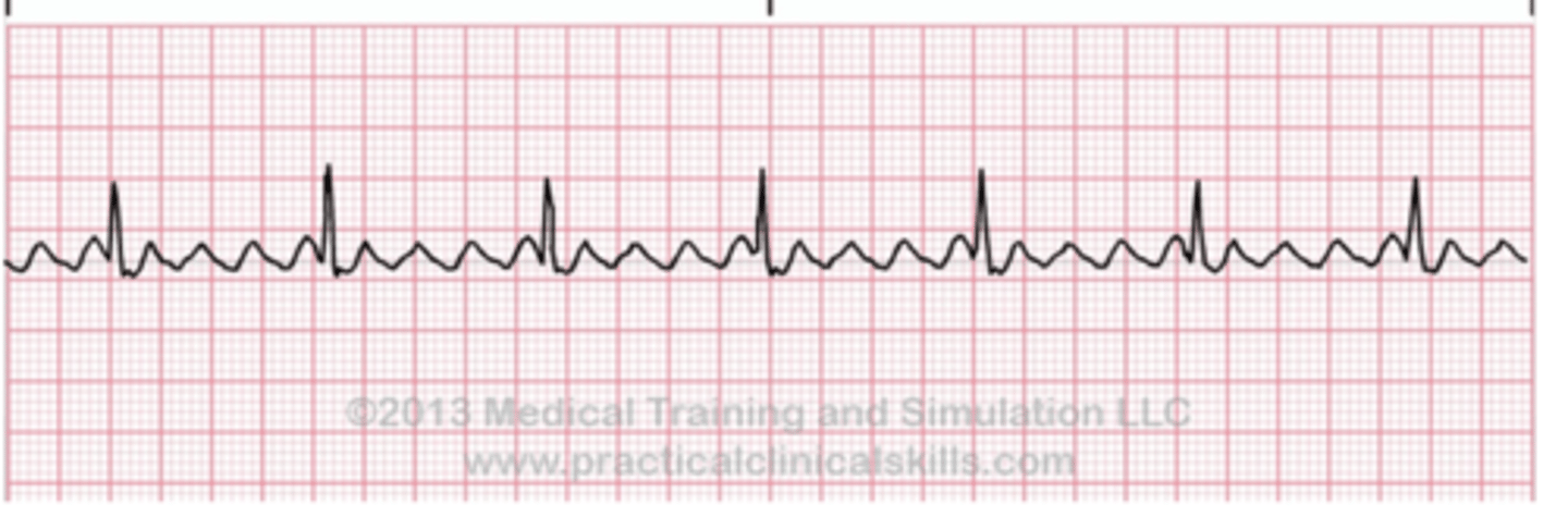 <p>What is this?</p>