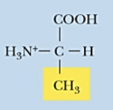 <p>Name (Abbr.) - polarity, a/n/b</p>