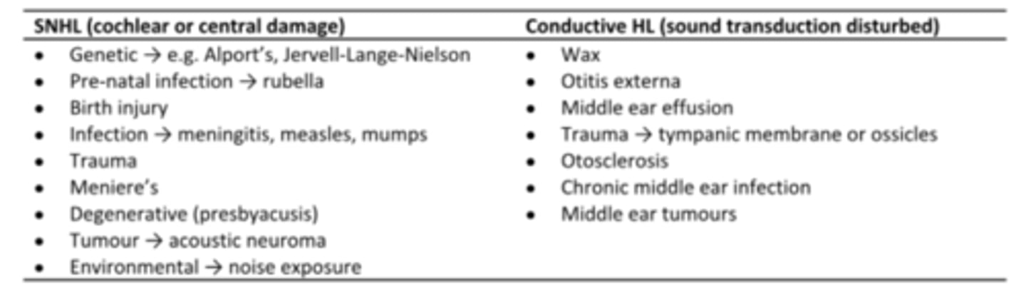 <p>Hearing loss caused by damage to the cochlea's receptor cells or to the auditory nerves; also called nerve deafness</p><p>THERE IS A POBLEM IN THE COHLEAR OR AUDITORY NERVE</p><p>Presbycusis</p><p>Noise-induced hearing loss</p><p>Congenital infections (e.g. rubella, CMV)</p><p>Neonatal complications (e.g. kernicterus or meningitis)</p><p>Drugs (aminoglycosides)</p><p>Post infection due to meningitis, measles, mumps, flu, herpes, syphillis</p><p>Vascular pathology (stroke, transient ischaemic attacks)</p><p>Rare causes: acoustic neuroma, vitamin B12 deficiency, multiple sclerosis, brain mets.</p>