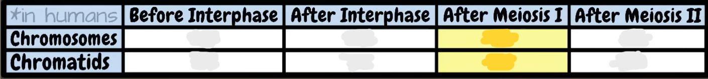 <p>fill in the table:</p>