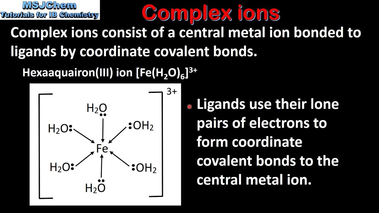 <p>complex ion </p>