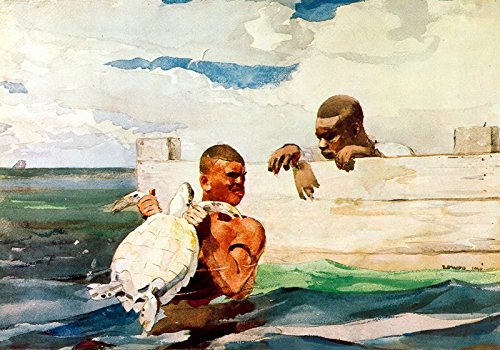 <p><em>The Turtle Pound</em></p>