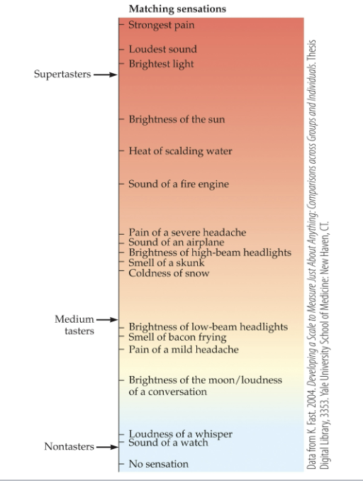 <p><u>Scaling Methods</u></p><p>the participant matches the intensity of a sensation in one sensory modality with the intensity of a sensation in another:</p><p>• Provides a bridge for linking __.</p><p>• Example: “Adjust this light so it is as bright as the stimulus sound is loud.”</p>