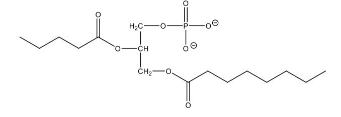 <ul><li><p>have glycerol backbone with 2 fatty acids (very lipophilic) and phosphate (PO4-) component (very polar); simple lipids – composed of fatty acids</p></li></ul><p></p>