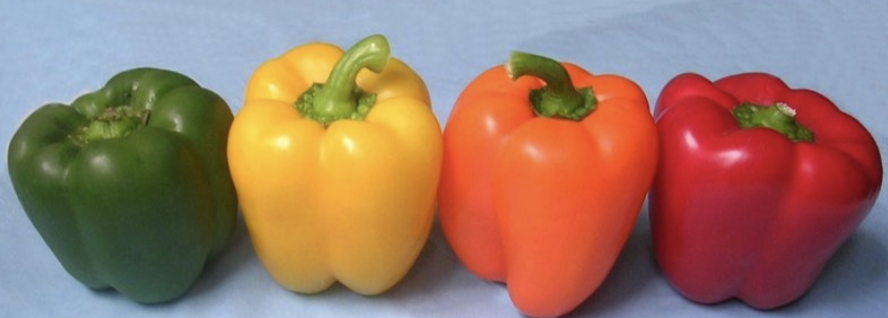 <p>bell pepper</p>