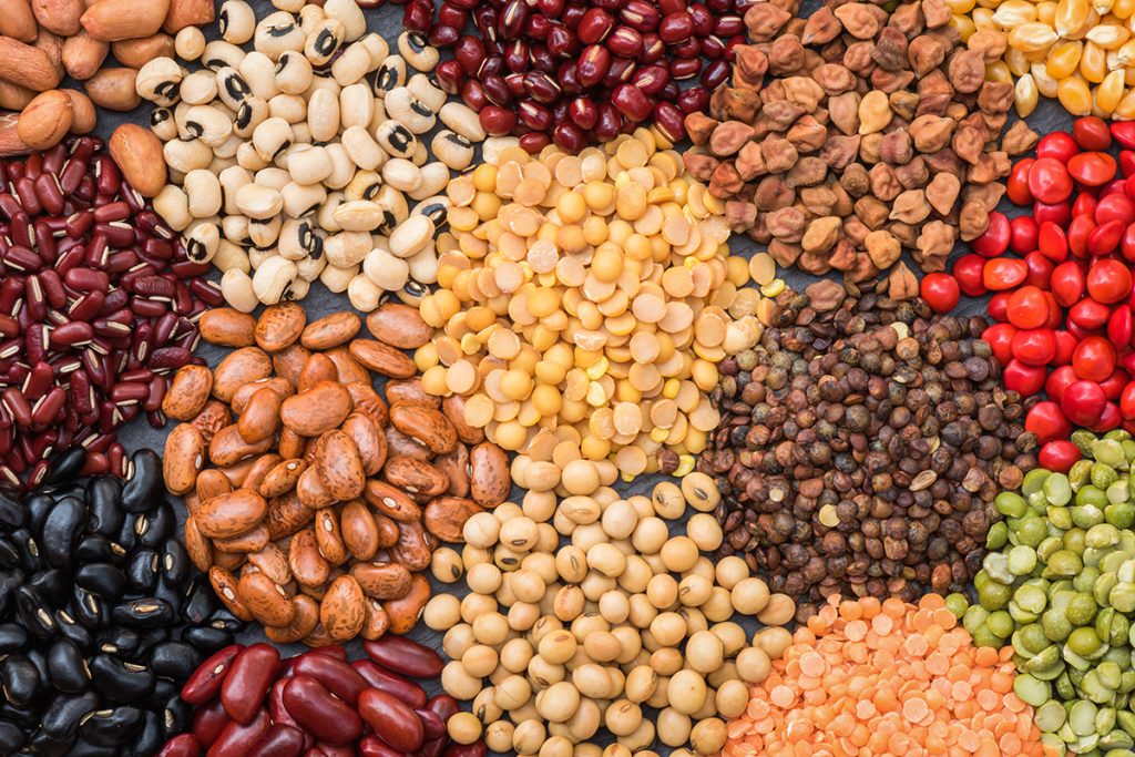 Eisen, Kupfer, Nickel, Carotinoide, Vitamin B1, Niacin und Folsäure