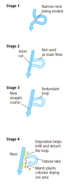 <ol><li><p>meander loop gets bigger and a narrow piece of land separates the river channel (the meander neck)</p></li><li><p>there is continued lateral erosion and the neck becomes narrower</p></li><li><p>the river floods and the main flow of the river cuts straight across the neck</p></li><li><p>“short cut“ begins to break down the river bank and creates a new channel</p></li><li><p>the flood recedes, and the river reverts to normal meandering channel and this process repeats over and over with every flood again</p></li><li><p>loop of old river becomes detached and no longer gets river water - flood = deposition on new river banks</p></li></ol>