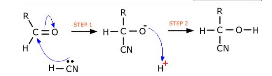 <ul><li><p>Forms hydroxynitriles</p></li><li><p>Image does not show lone pair on oxygen (this needs to be in mechanism!!!) </p></li></ul><p></p>