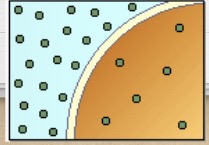 <p>What is this?</p>