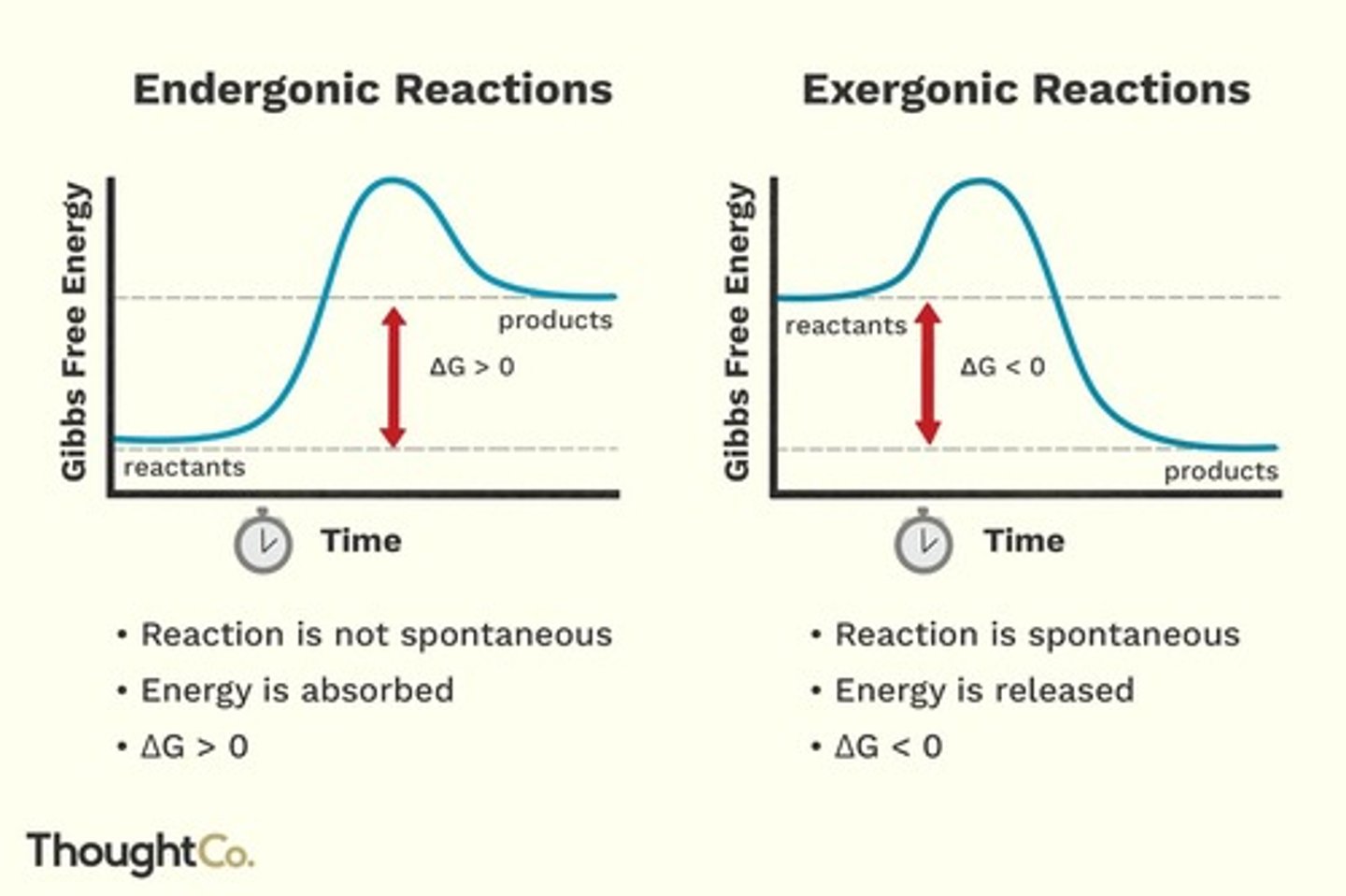 <p>Reactions that require energy input.</p>