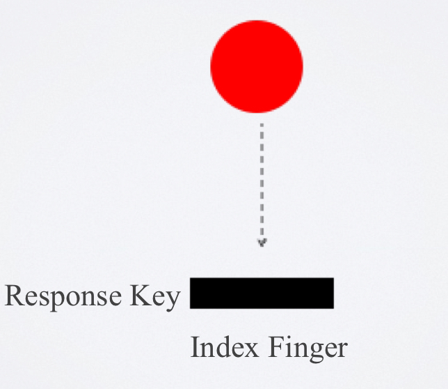 <p>the reaction time that involves 1 signal/stimulus and 1 response</p>