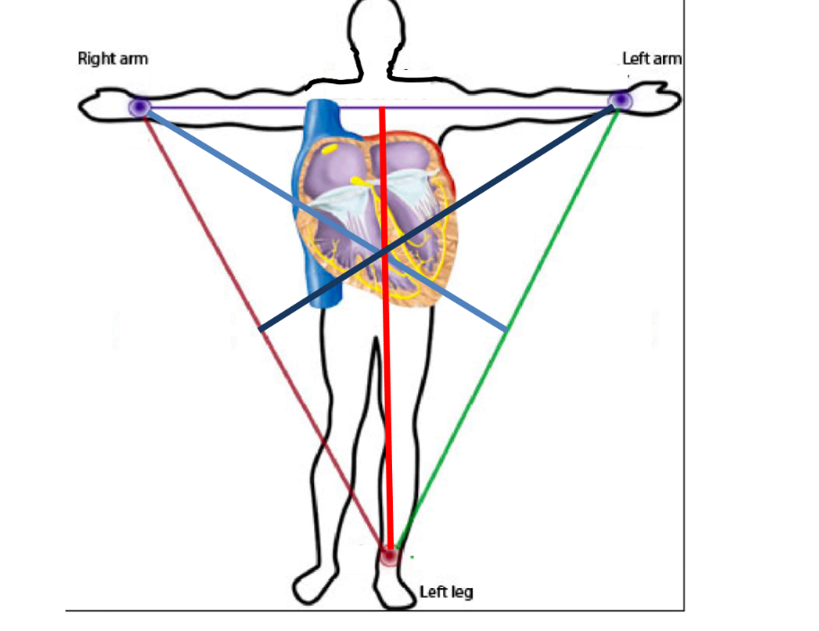Label the diagram ^^ 