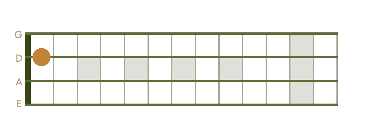 <p> 1sr Fret - D String</p>