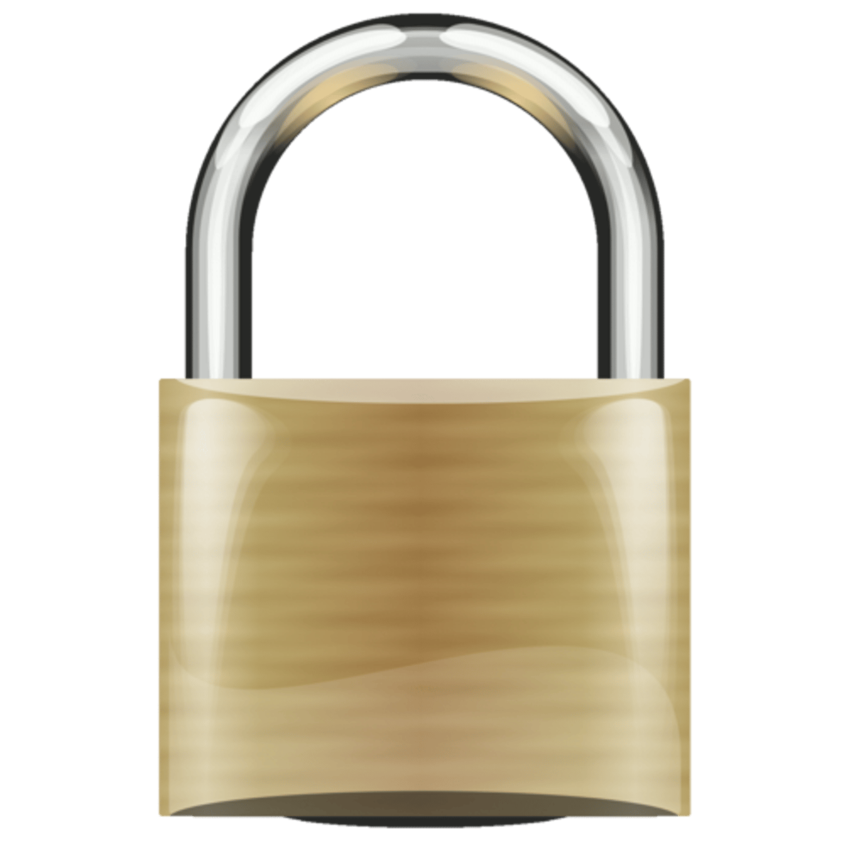 <p>a lock</p>