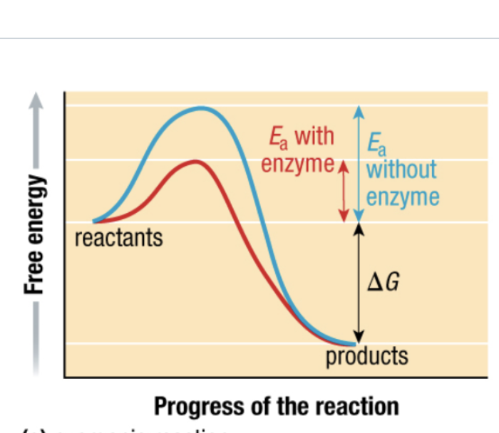 <p>what type of reaction </p>