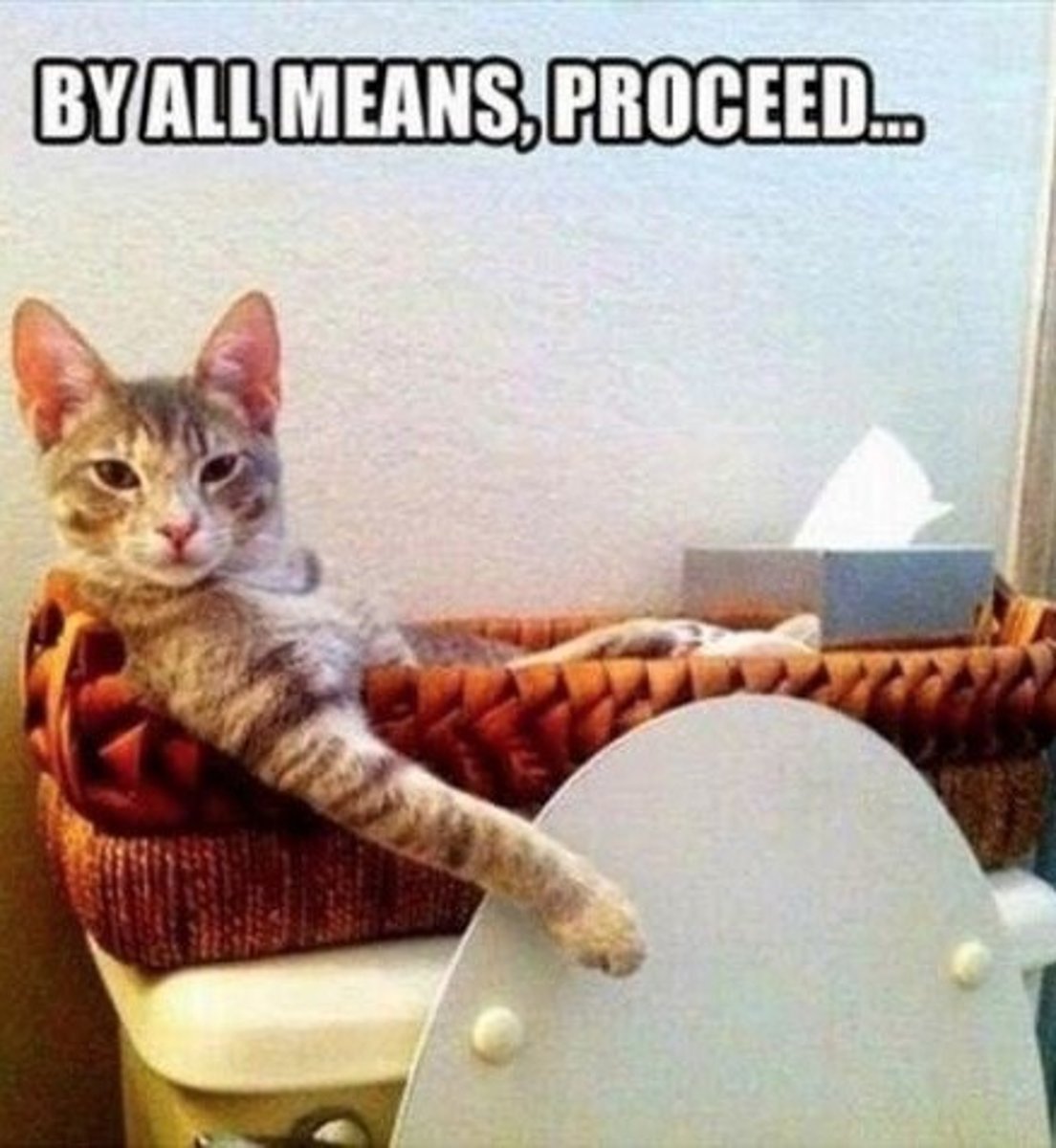 <p>permissive/easy going</p>