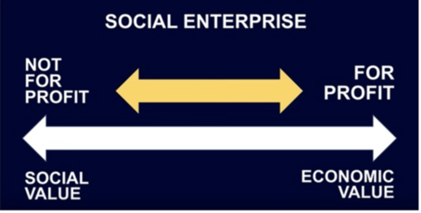 <p>-In-between a <b>For Profit</b> and a <b>Not For Profit</b><br><br>-Thus, Social Enterprises social value while operating with a financial discipline</p>