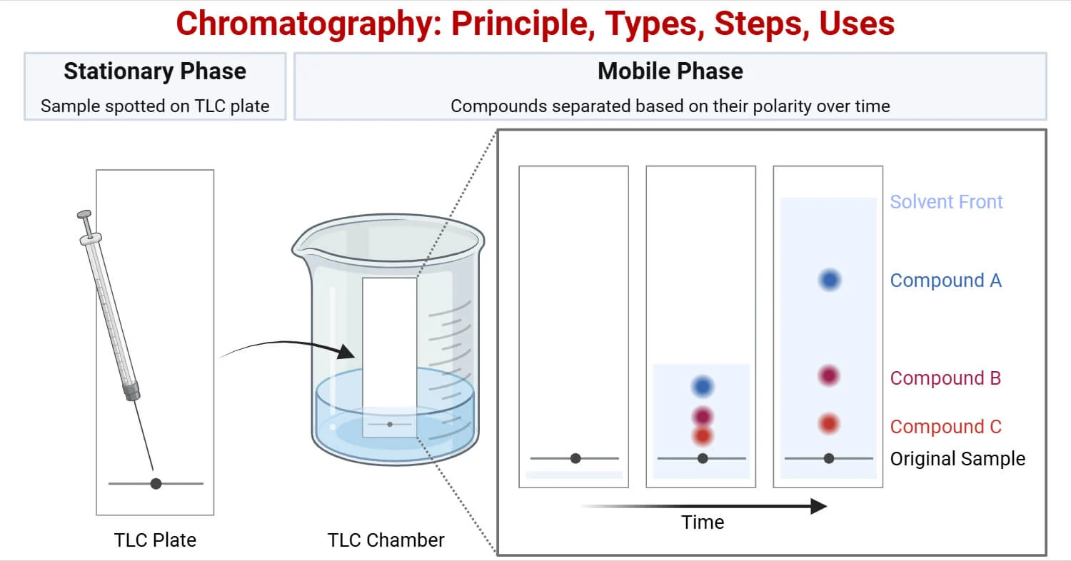<p>separate a mixture by different <u>solubility</u> in a <u>solvent</u>.</p><ul><li><p>solute = dissolved by solvent.</p></li><li><p>solvent = dissolves the solute.</p></li></ul><p></p>