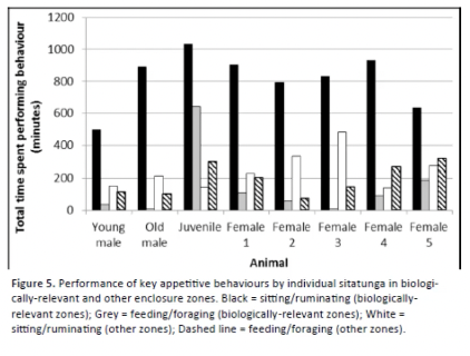 <p><strong>Rose &amp; Robert </strong>- activity patterns and enclosure usage of a little-studied zoo species, the sitatunga (antelope)</p><ul><li><p>time-activity budget on an individual level - can see where behavioural differences lie </p></li></ul><p></p>