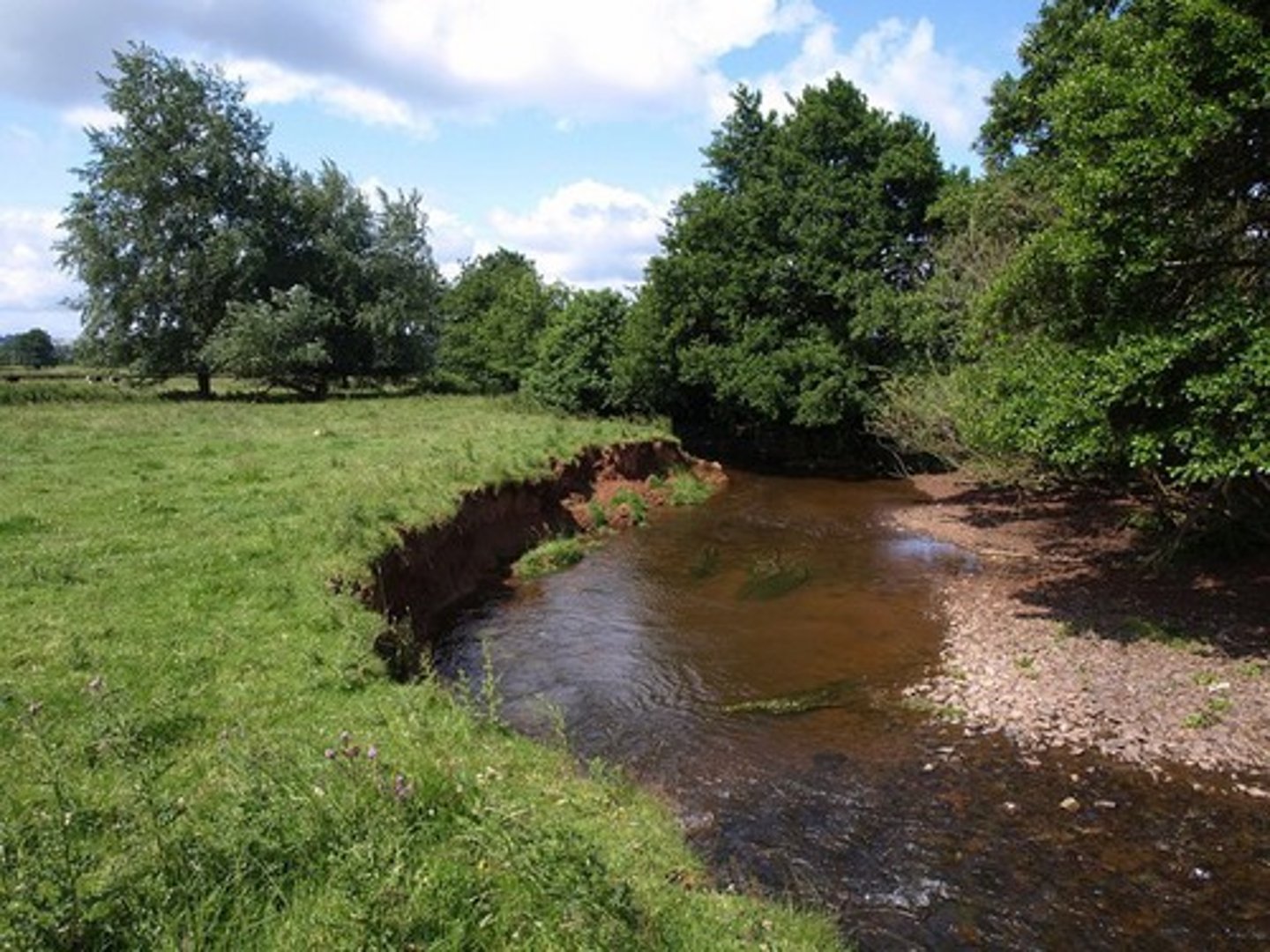 <p>A steep bank at the outer bend of the river, formed when the force of the water undercuts the bank.</p>