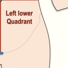 <p>What quadrant is this? </p>