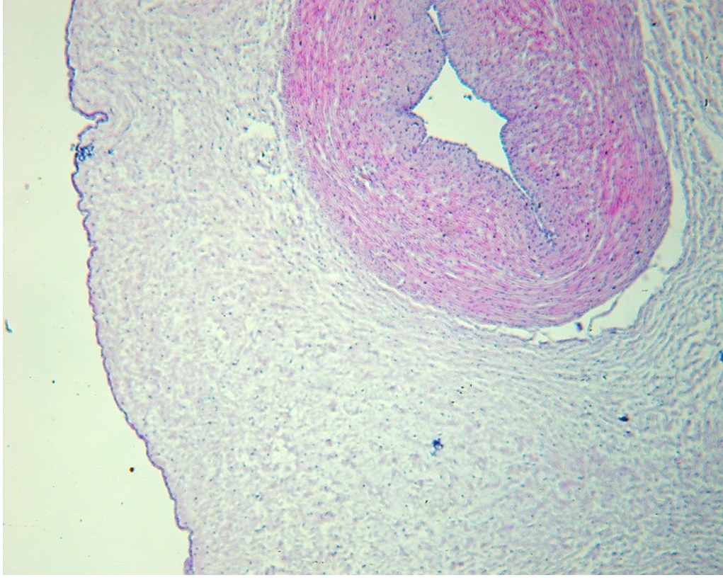 <p>identify</p><p>mention one site </p>