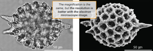 <ul><li><p>Magnification: how much larger an object appears compared to its real size.</p></li><li><p>Resolution: the smallest interval distinguishable by the microscope, which then corresponds to the degree of detail visible in an image created by the instrument.</p></li></ul><p></p>