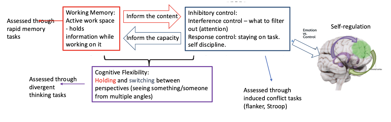 <p>Working Memory informs content of Inhibitory Control</p><p>Inhibitory Control informs capacity of Working Memory</p>