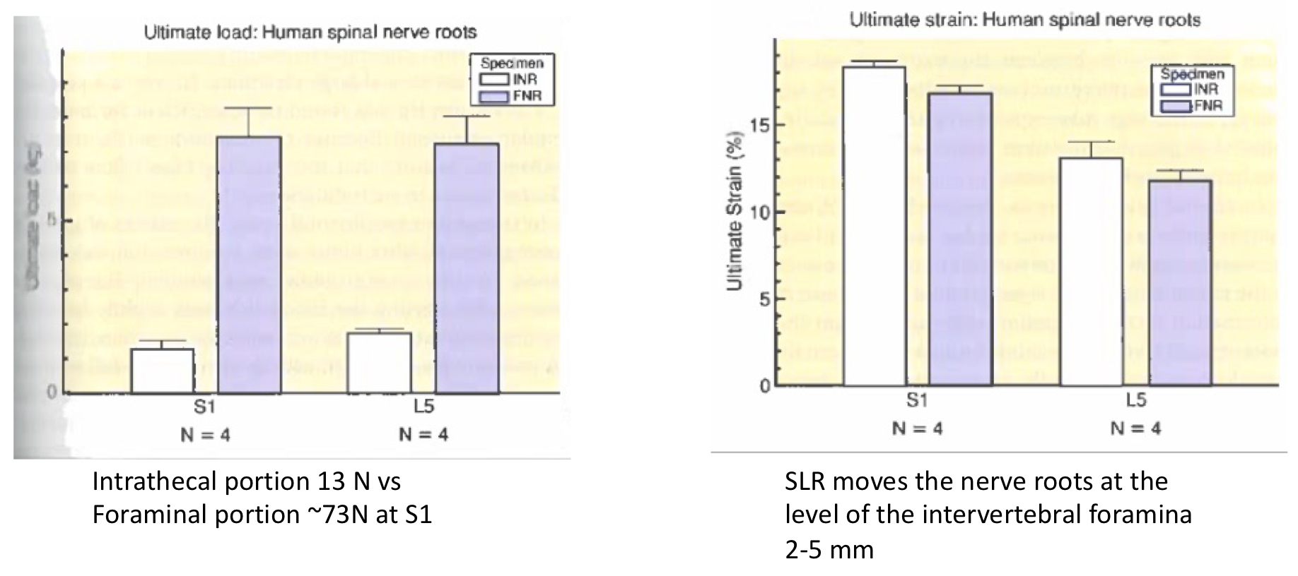 <p>True!</p><p></p><p>(e.g., spinal nerve at S1 can undergo more strain than the L5 spinal nerve)</p>