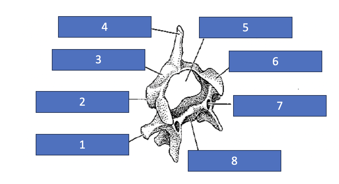 <p>6</p>