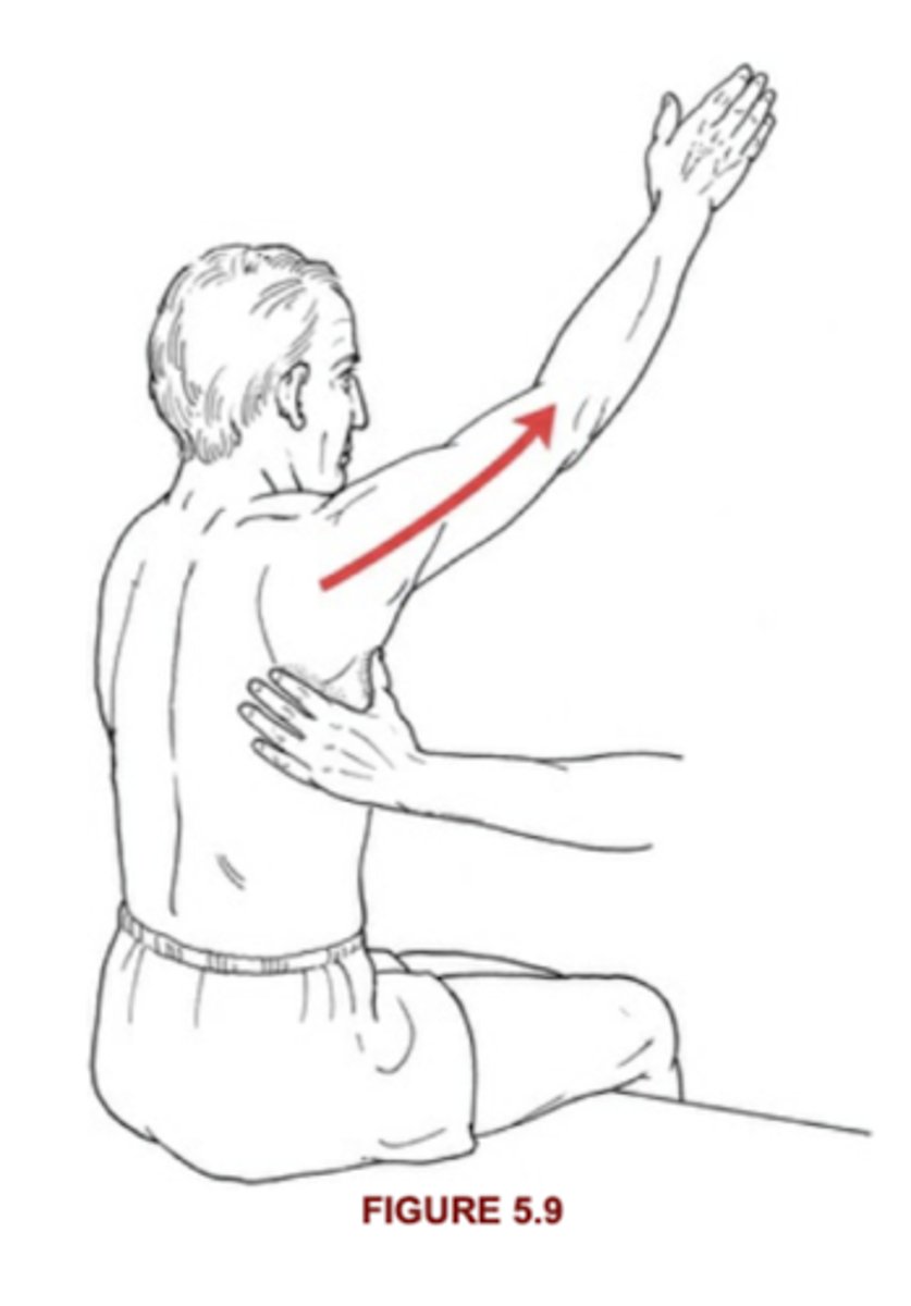<p>Scapula moves through full ROM, without winging and without resistance</p>