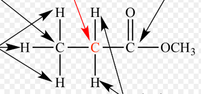 <p>The carbon that is next to a functional group in an organic compound.</p>