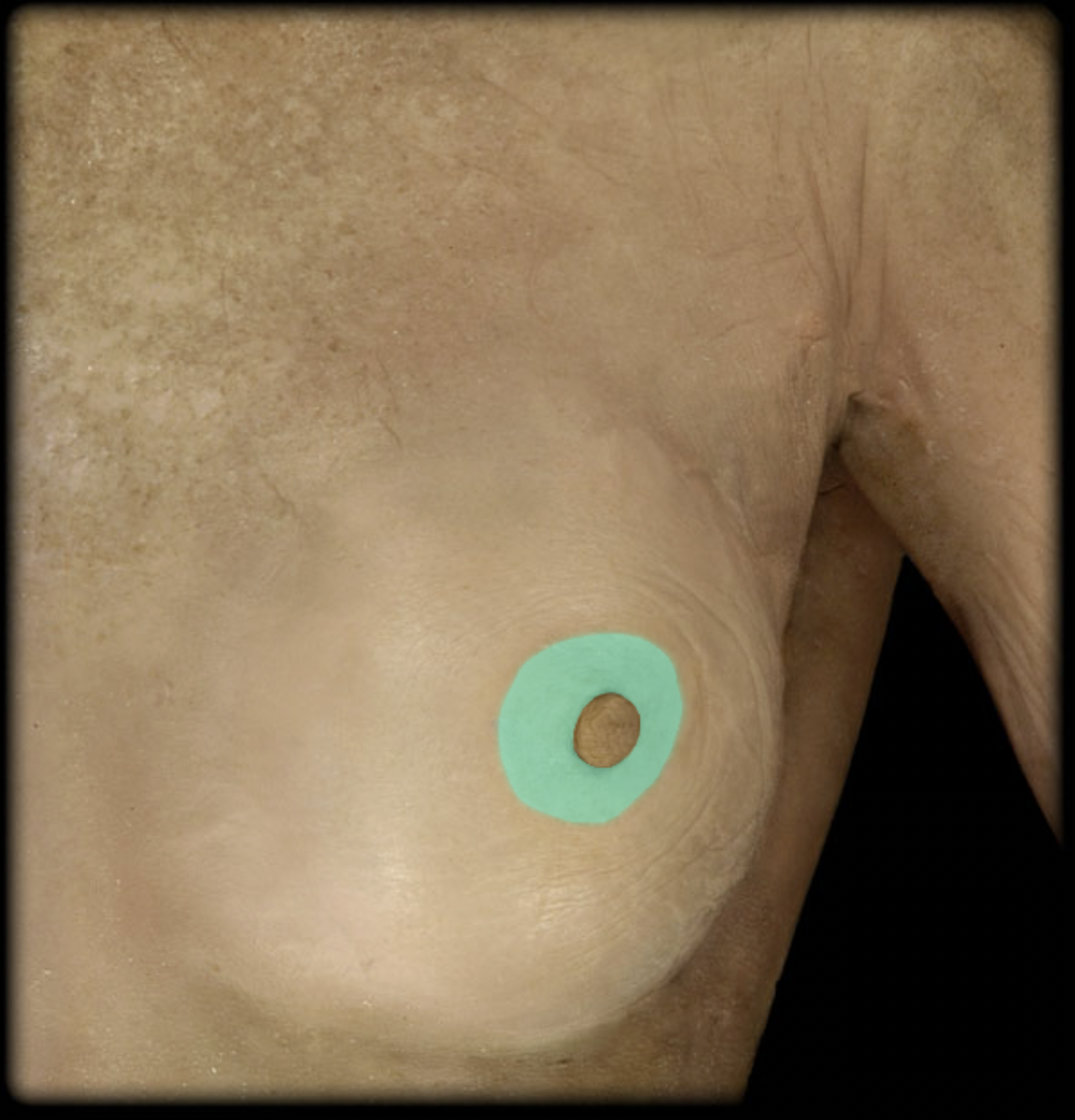 <p>What structure is shown?</p>