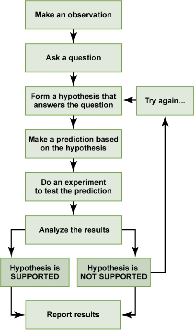 A method of investigation involving observation and theory to test scientific hypotheses. Made by Sir Francis Bacon (1561-1626)