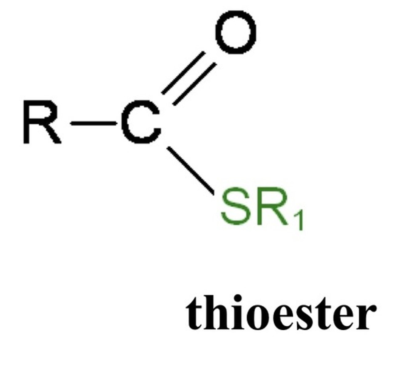 <p>High-energy sulfur-containing esters (ex: acetyl-CoA)</p><p>- Hydrolyzed with large negative ΔG</p>