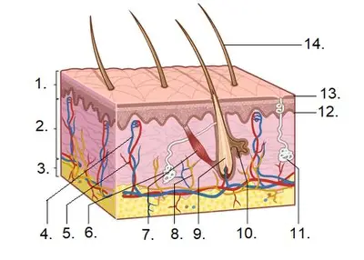 <p>What is 8?</p>