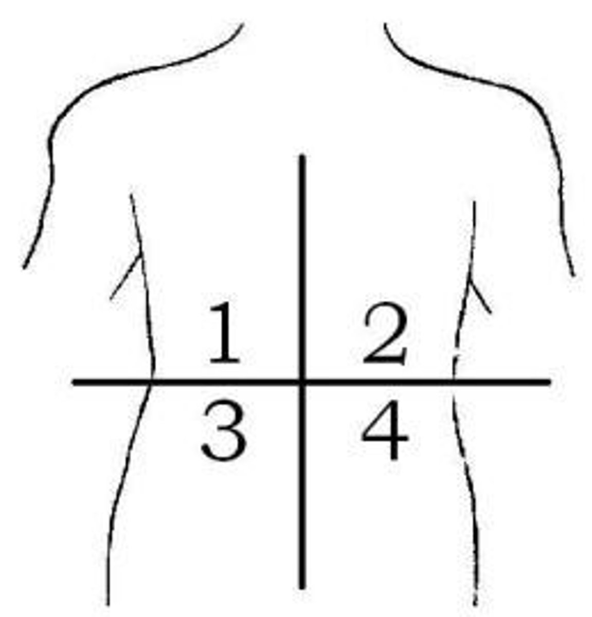 <p>Right upper quadrant (RUQ)</p>