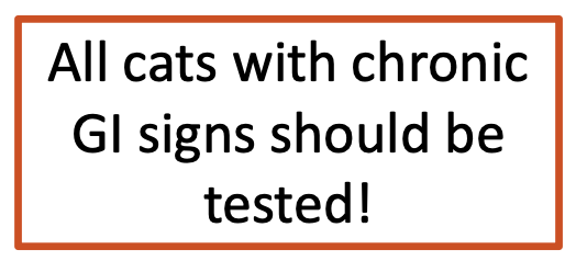 <p>-more subtle and less specific than dogs</p><p><strong><u>-weight loss (90% of cases)</u></strong> w/ or w/o diarrhea (60%)</p><p>-poor haircoat (50%)</p><p>-polyphagia (42%)</p><p>-anorexia (42%)</p><p>-vomiting (19%)</p>