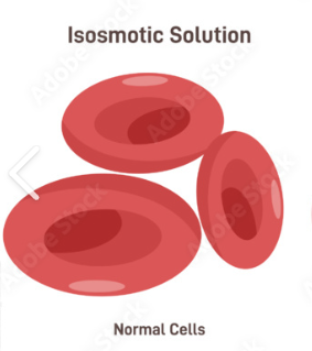 <p><span style="font-family: Calibri, sans-serif; line-height: 115%;"><strong><span>Isotonic</span></strong></span></p>