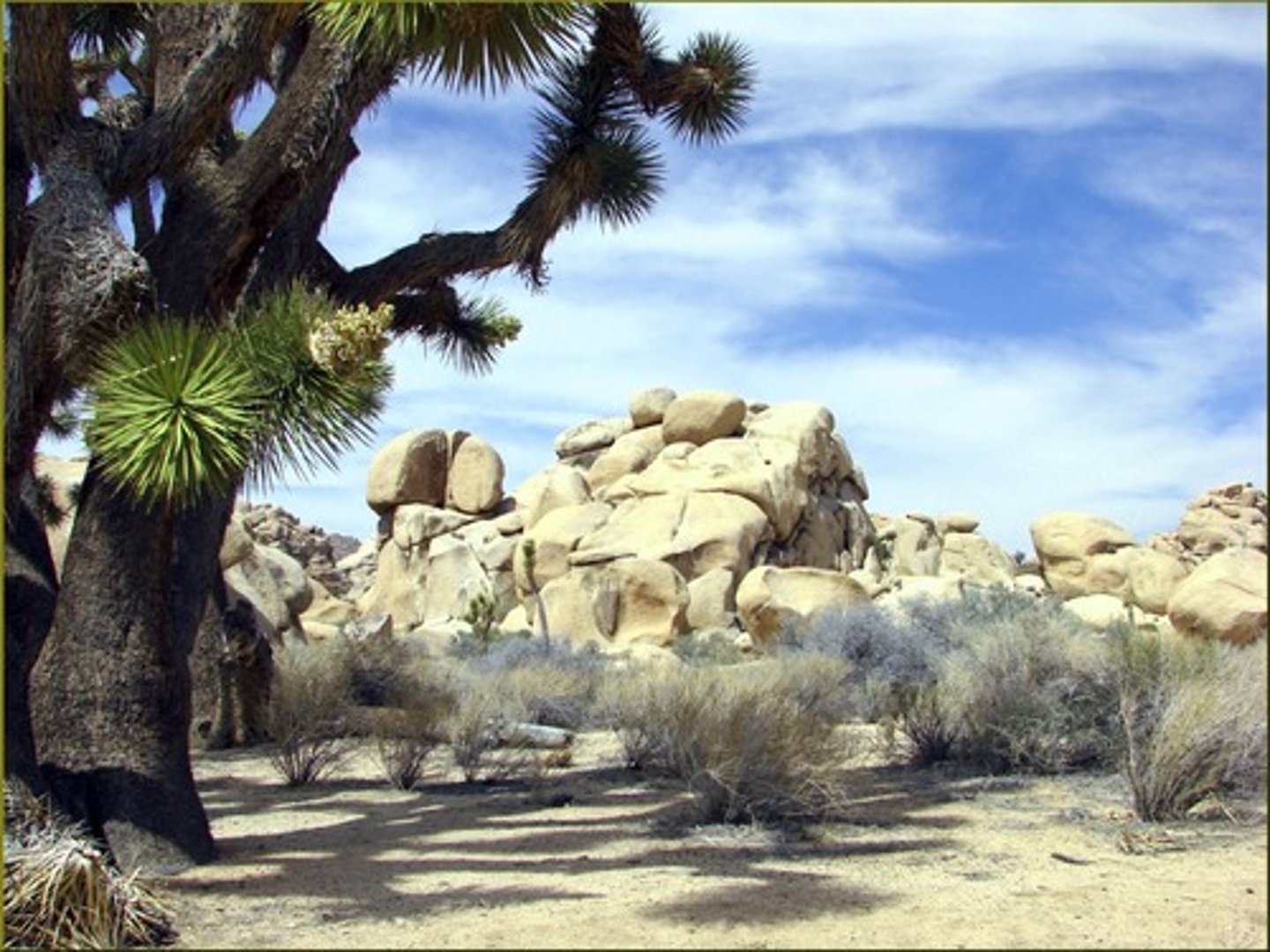 <p>California</p>
