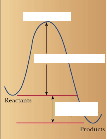<p>identify each one</p>