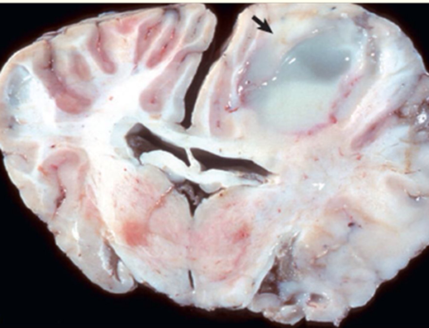 <p>What is this an example of?</p>