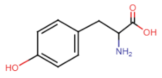 <p>- added OH to phenylalanine<br>- R-group: benzene ring, CH2 group, OH group<br></p>
