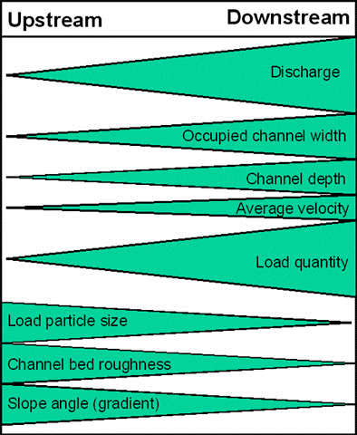 <p>what does the <strong><u>bradshaw model</u></strong> show?</p>
