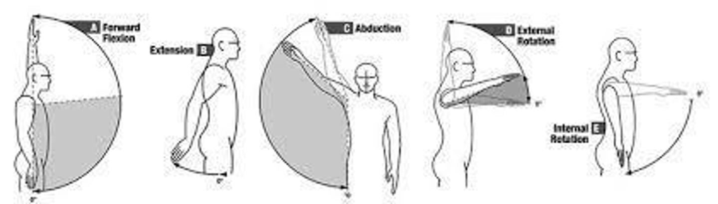 <p>0 - 180 degrees of shoulder movement.</p>